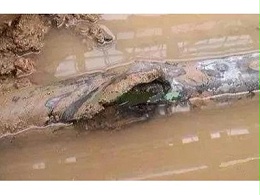 电缆进水了怎么办？这8点预防措施很重要！赶紧收藏！