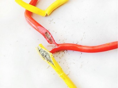 微信图片_20190526164641 微信图片_20190526164641